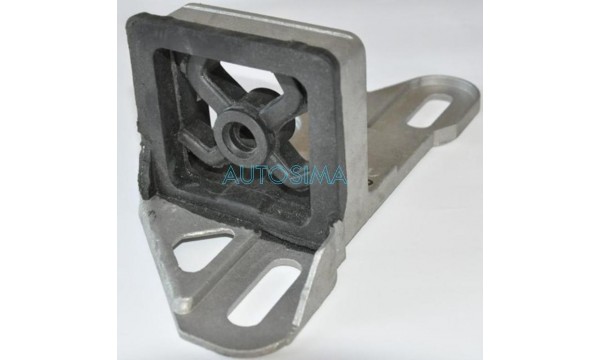 Duslintuvo guma 80172